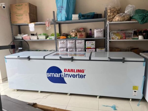 Tủ đông Darling 1700 lít DMF-1579 ASI Smart Inverter