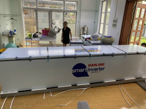 Tủ đông Darling 2500 lít DMF-1979 ASI Smart Inverter