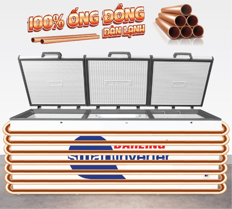 Tủ đông Darling 1700 lít DMF-1579 ASI Smart Inverter