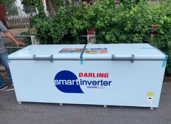 Tủ đông Darling 1200 lít DMF-1179 ASI Smart Inverter