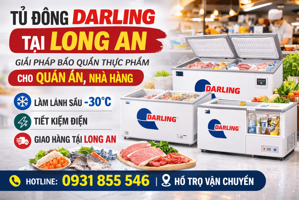 Tủ đông Darling tại Long An