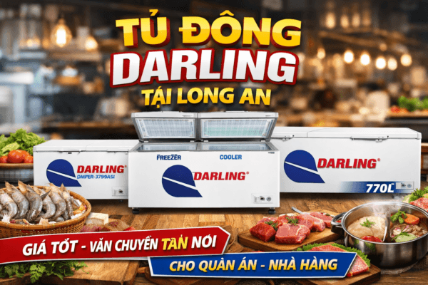Tủ đông Darling tại Long An